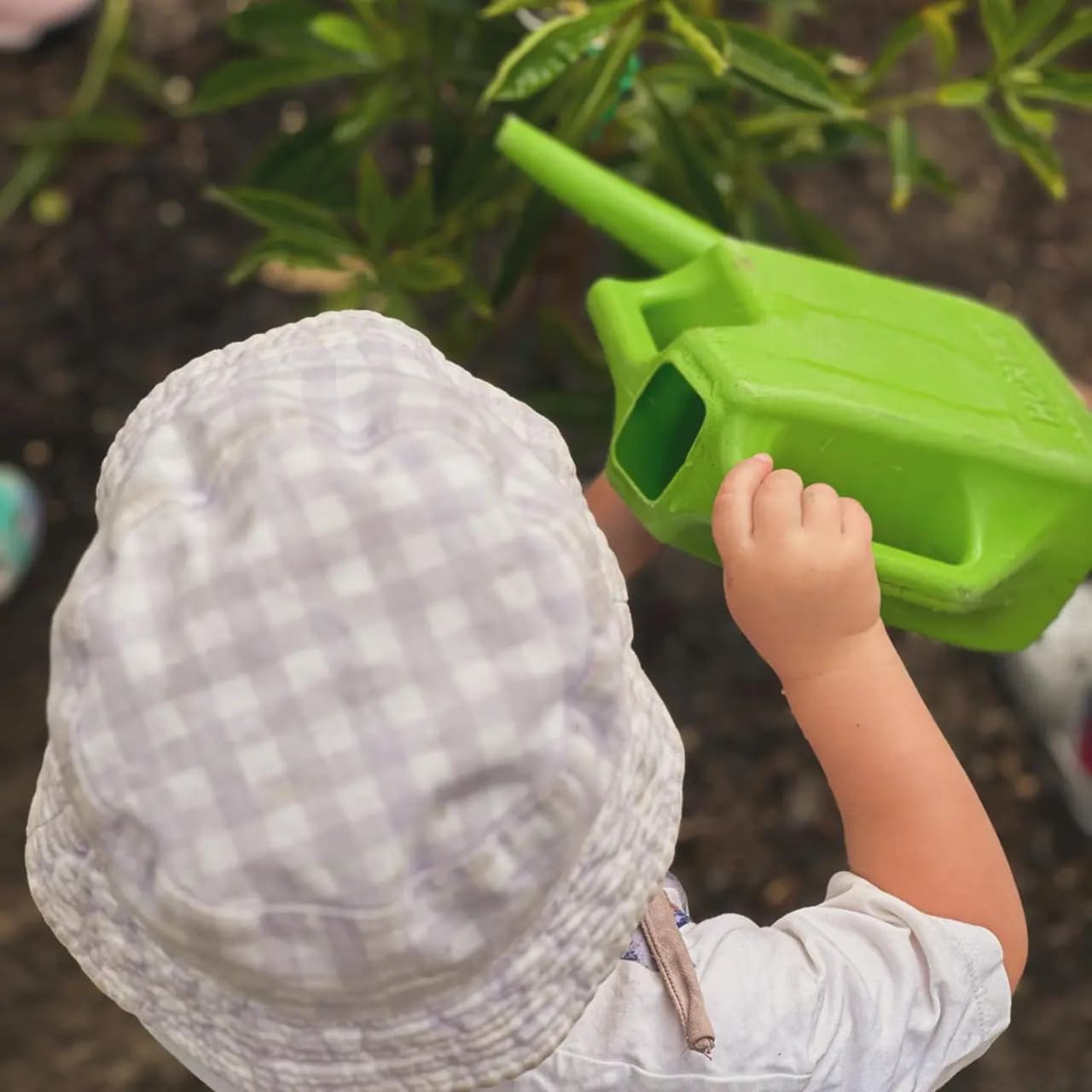 Child watering a plant during a gardening activity that supports learning through play and environmental awareness.